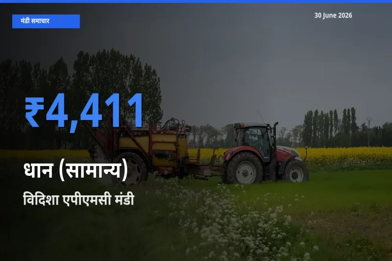 बाज़ार संकेत: विदिशा एपीएमसी बना धान (सामान्य) के लिए आज की टॉप मंडी