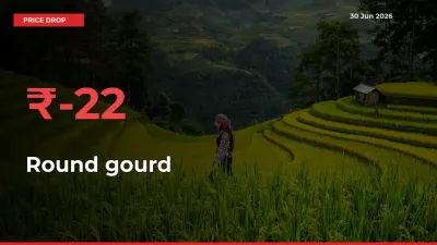Why Round gourd Prices Fell 22.05% in a Day at Mandis