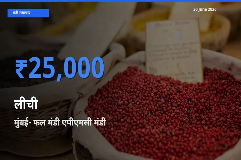 मुंबई- फल मंडी एपीएमसी मंडी में आज लीची के सबसे ऊँचे दाम दर्ज