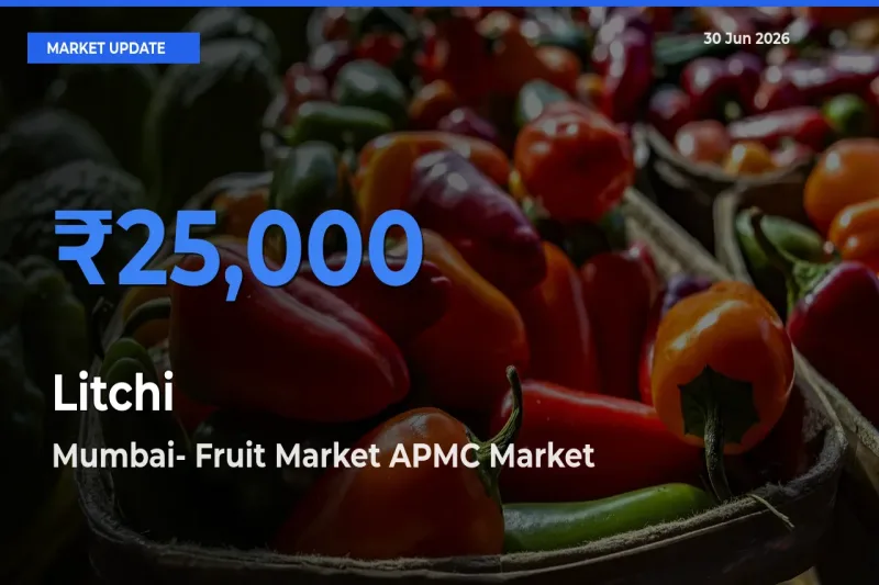 Mumbai- Fruit Market APMC Records Highest ₹25,000 Rate for Litchi
