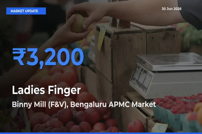 Market Watch: Binny Mill (F&V), Bengaluru APMC Becomes Top Mandi for Ladies Finger