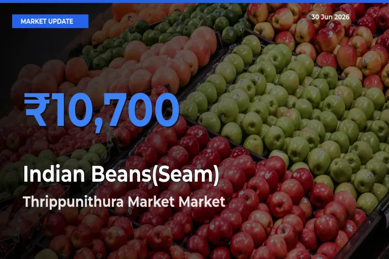 Market Watch: Thrippunithura Market Becomes Top Mandi for Indian Beans(Seam)