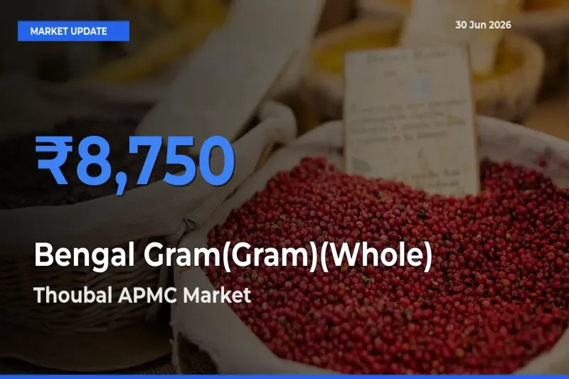 Bengal Gram(Gram)(Whole) Mandi Rate Today: Thoubal APMC Tops the List