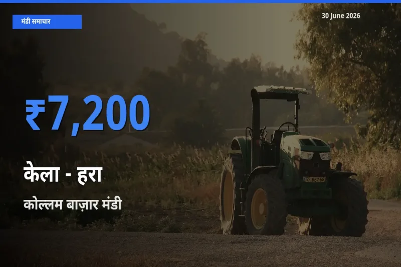 आज केला - हरा के सबसे ऊँचे दाम ₹7,200 कोल्लम बाज़ार मंडी में