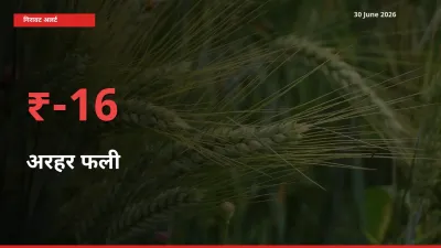 अरहर फली के दाम प्रमुख मंडी में 15.66% गिरे, 24 घंटे में बड़ा बदलाव