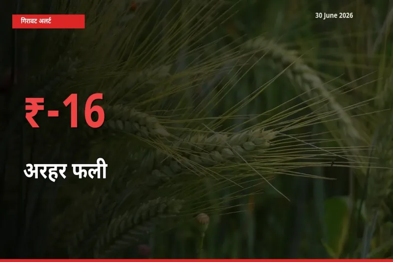 अरहर फली के दाम प्रमुख मंडी में 15.66% गिरे, 24 घंटे में बड़ा बदलाव