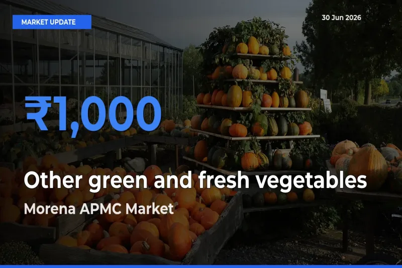 Farmers Prefer Morena APMC as Other green and fresh vegetables Hits Highest Rate
