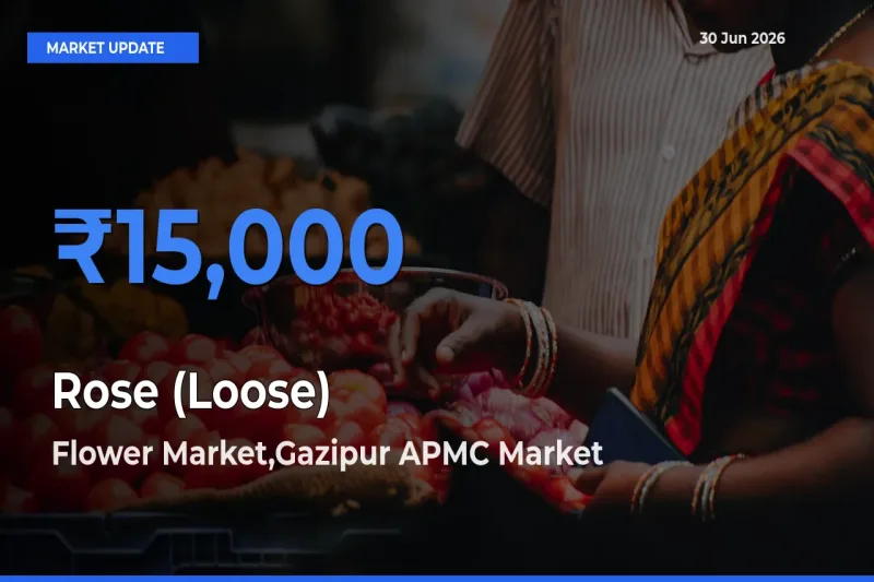Market Watch: Flower Market,Gazipur APMC Becomes Top Mandi for Rose (Loose)
