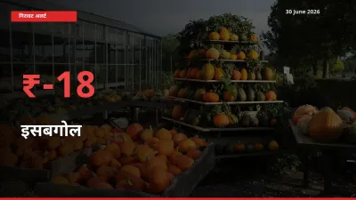 इसबगोल 17.9% गिरा, मंडी