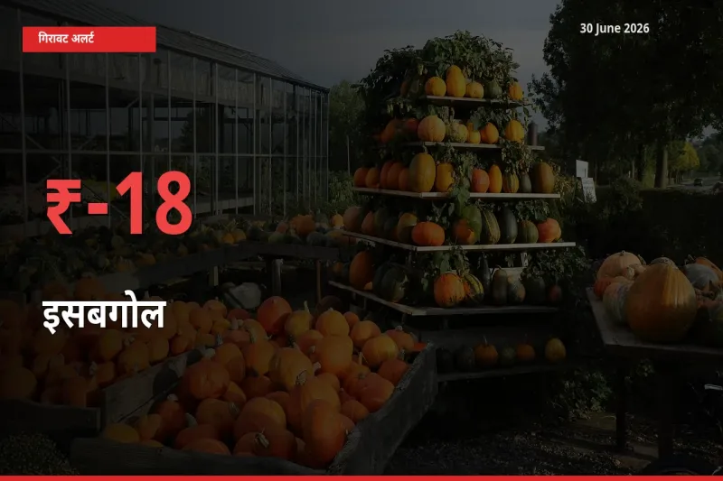इसबगोल 17.9% गिरा, मंडी