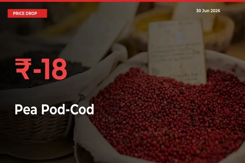 Why Pea Pod-Cod Prices Fell 17.57% in a Day at Mandis
