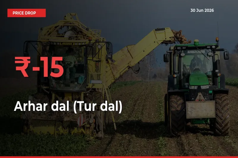 Sharp Fall! Arhar dal (Tur dal) Prices Plunge 15.21% in a Day at Key Mandis