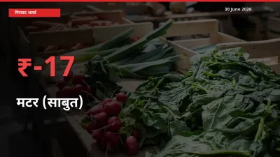 स्थानीय मंडी में मटर (साबुत) के दाम अचानक 17.23% गिरे, किसानों की चिंता बढ़ी
