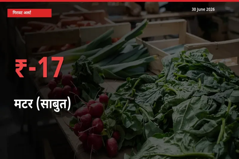 स्थानीय मंडी में मटर (साबुत) के दाम अचानक 17.23% गिरे, किसानों की चिंता बढ़ी