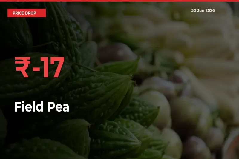 Sharp Fall! Field Pea Prices Plunge 17.23% in a Day at Key Mandis