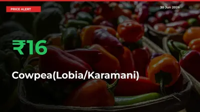 This Mandi Records 15.93% Jump in Cowpea(Lobia/Karamani) Prices