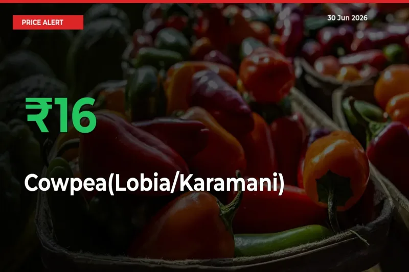 This Mandi Records 15.93% Jump in Cowpea(Lobia/Karamani) Prices