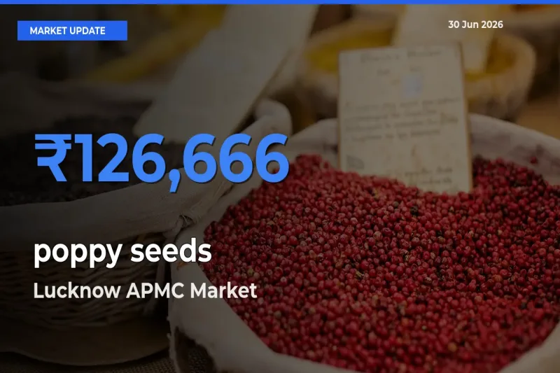 Lucknow APMC Leads as Top Mandi for poppy seeds Prices
