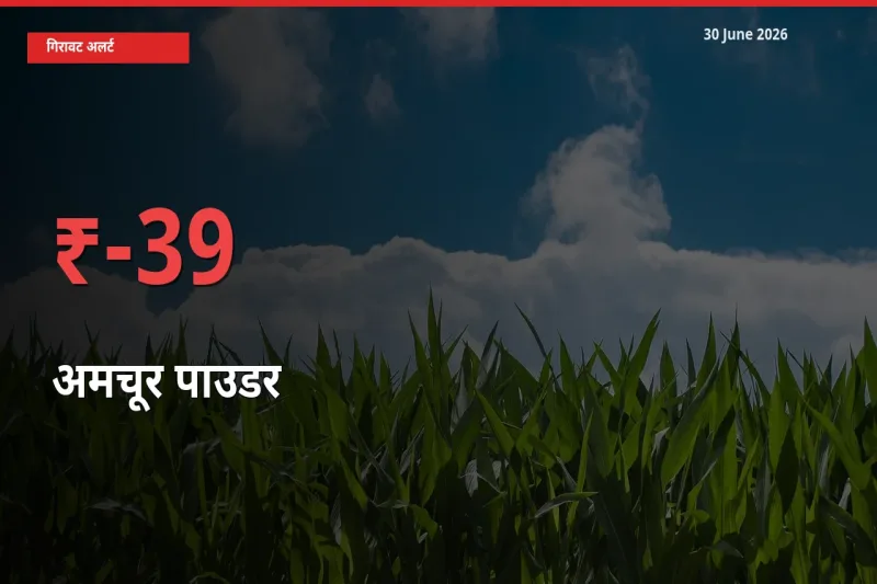 अमचूर पाउडर 38.99% गिरा, मंडी