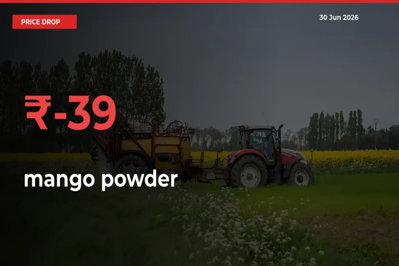 mango powder Prices Drop 38.99% in 24 Hours at Major Mandis