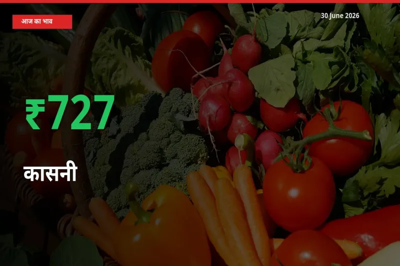 तेज़ तेजी! मंडी में कासनी के दाम 726.67% चढ़े