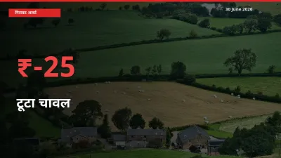 अचानक झटका! मंडी में टूटा चावल के दाम 25.41% टूटे