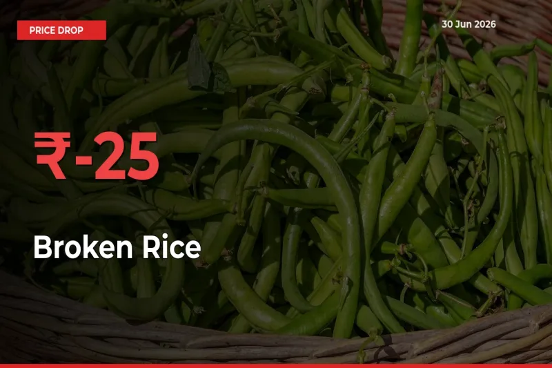 Sharp Fall! Broken Rice Prices Plunge 25.41% in a Day at Key Mandis