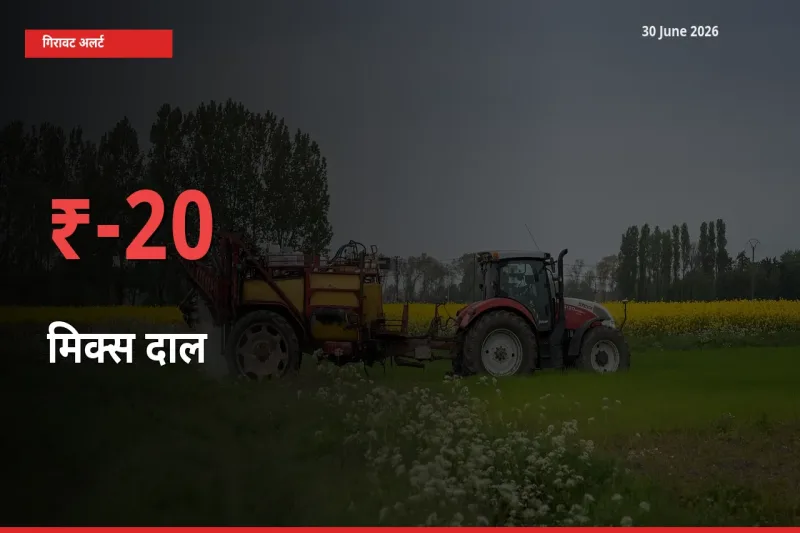 मिक्स दाल 19.53% गिरा, मंडी