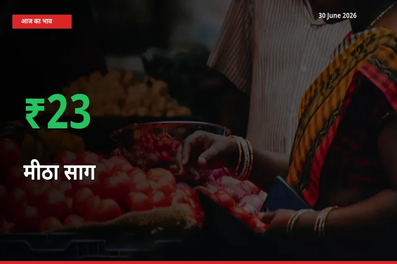 तेज़ तेजी! मंडी में मीठा साग के दाम 22.96% चढ़े