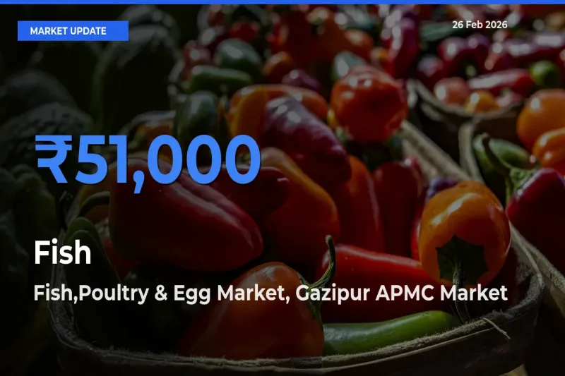 Farmers Prefer Fish,Poultry & Egg Market, Gazipur APMC as Fish Hits Highest Rate