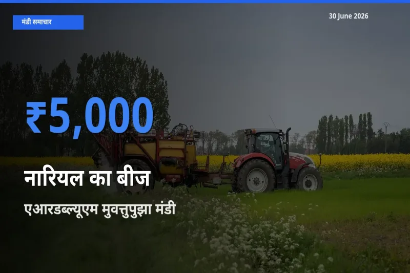 आज का मंडी भाव: नारियल का बीज के सबसे ज़्यादा दाम एआरडब्ल्यूएम मुवत्तुपुझा में