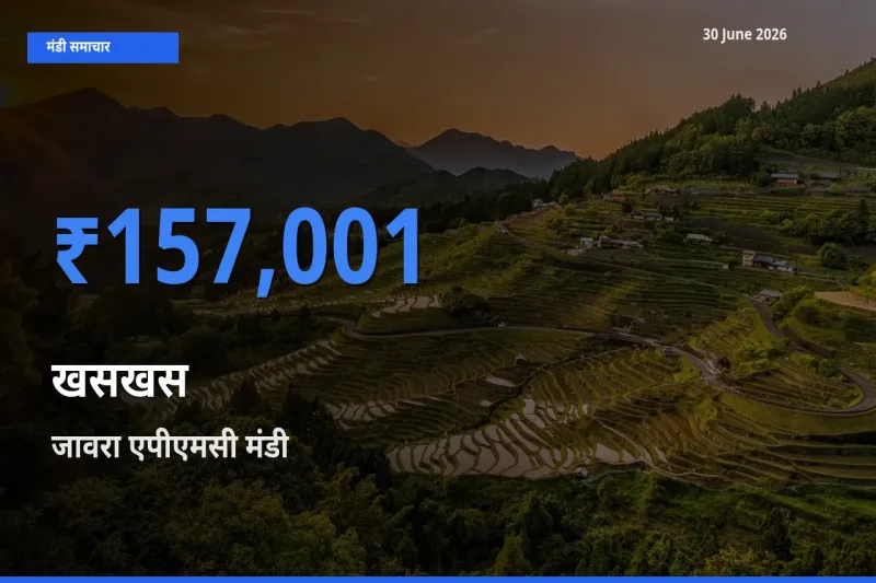 30 June अपडेट: खसखस के सबसे ऊँचे दाम जावरा एपीएमसी मंडी में