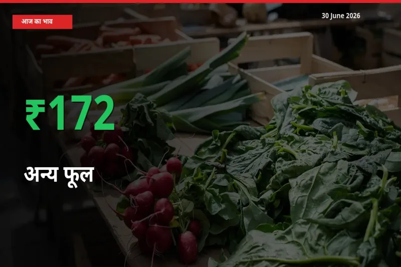 30 June अपडेट: अन्य फूल के दाम मंडी में 172.14% उछले