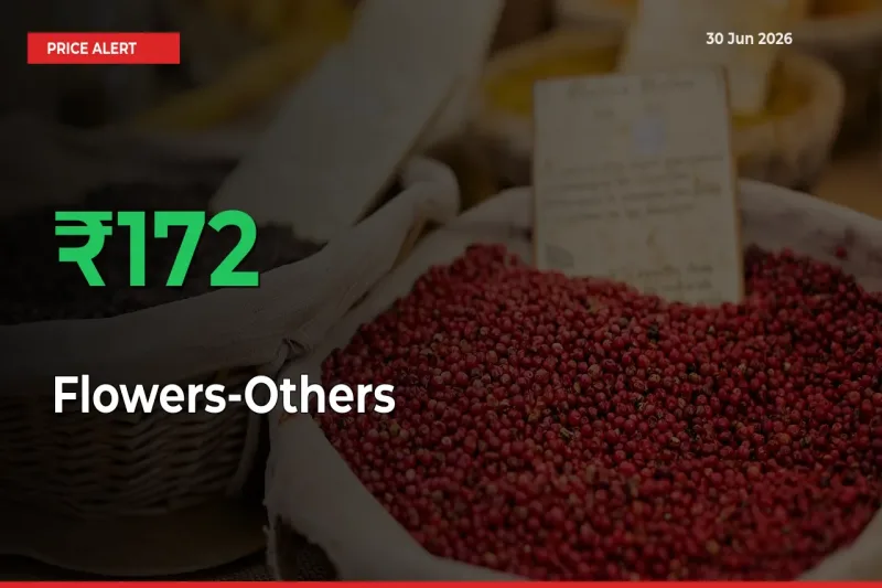 Farmers Cheer as Flowers-Others Prices Surge 172.14% in Local Mandis