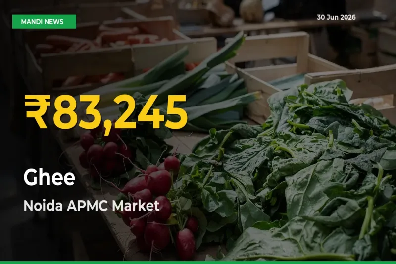 Why Ghee Prices Are Climbing in Noida APMC – Today’s New High Explained