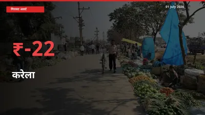 करेला के दाम प्रमुख मंडी में 21.9% गिरे, 24 घंटे में बड़ा बदलाव