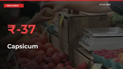 Capsicum Prices Drop 36.51% in 24 Hours at Major Mandis