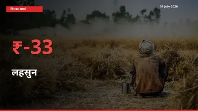 अचानक झटका! मंडी में लहसुन के दाम 32.54% टूटे