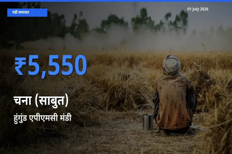 हुंगुंड एपीएमसी में चना (साबुत) का आज सबसे ऊँचा भाव