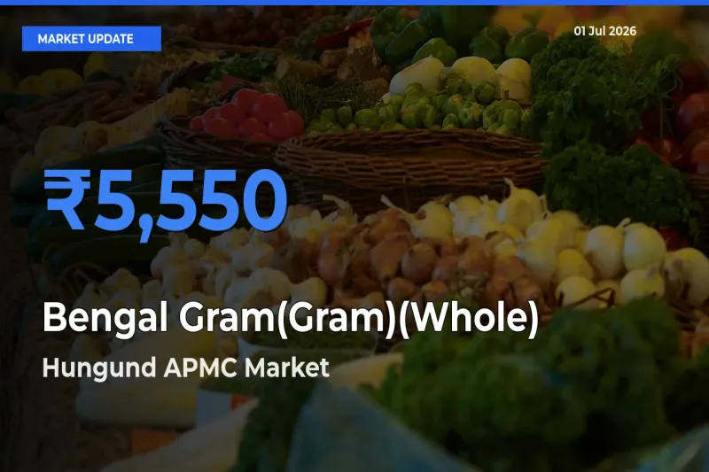 Market Watch: Hungund APMC Becomes Top Mandi for Bengal Gram(Gram)(Whole)