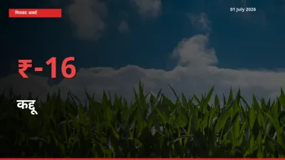 कद्दू 15.74% गिरा, मंडी