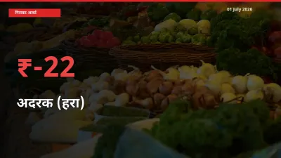 अदरक (हरा) 21.87% गिरा, मंडी