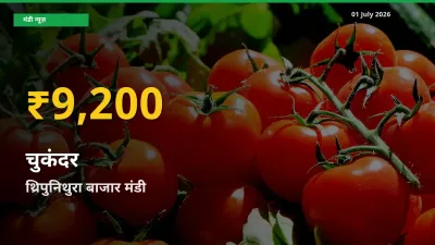 चुकंदर के भावों में जबरदस्त उछाल, थ्रिपुनिथुरा बाजार में नया उच्च स्तर