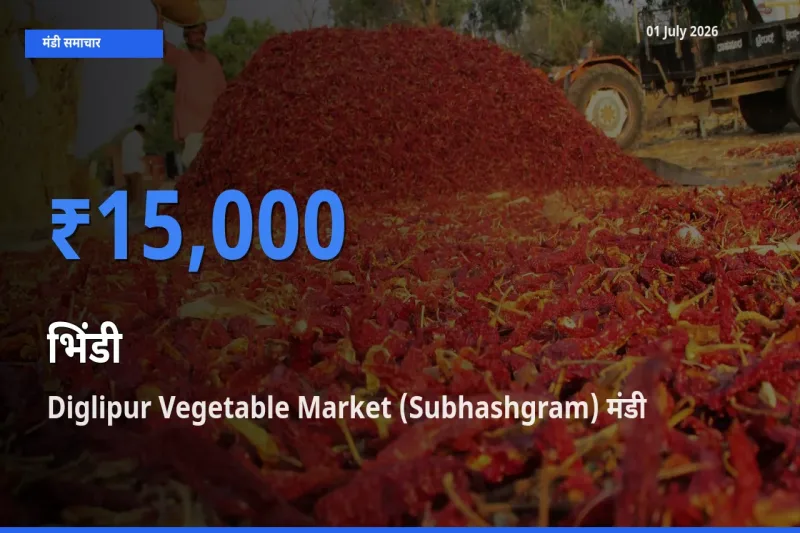 आज का मंडी भाव: भिंडी के सबसे ज़्यादा दाम Diglipur Vegetable Market (Subhashgram) में