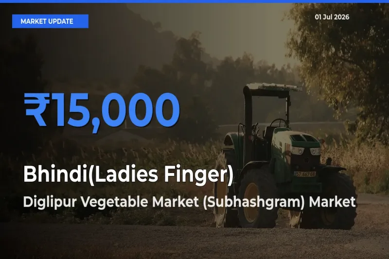 Diglipur Vegetable Market (Subhashgram) Emerges as Top Mandi for Bhindi(Ladies Finger) Prices Today