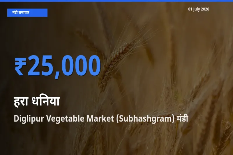 आज हरा धनिया के सबसे ऊँचे दाम ₹25,000 Diglipur Vegetable Market (Subhashgram) मंडी में