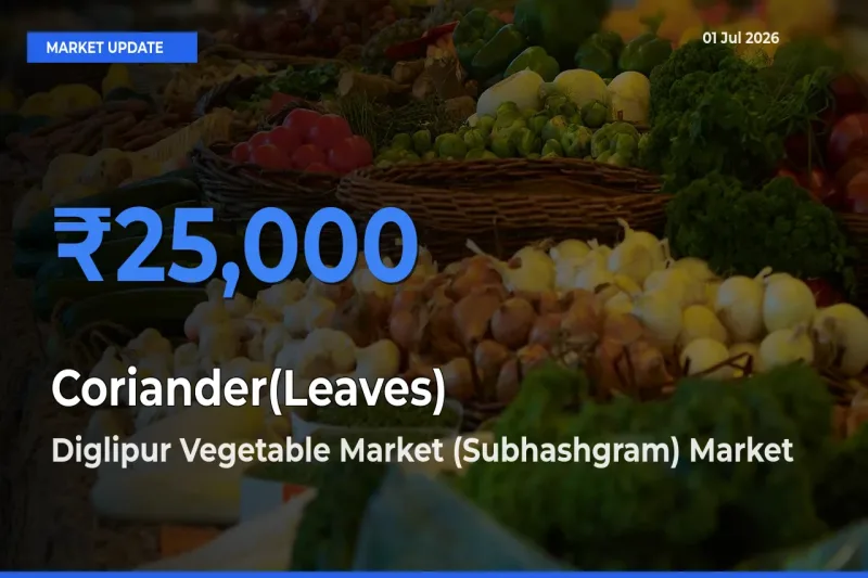 Diglipur Vegetable Market (Subhashgram) Tops Coriander(Leaves) Mandi Rates Today