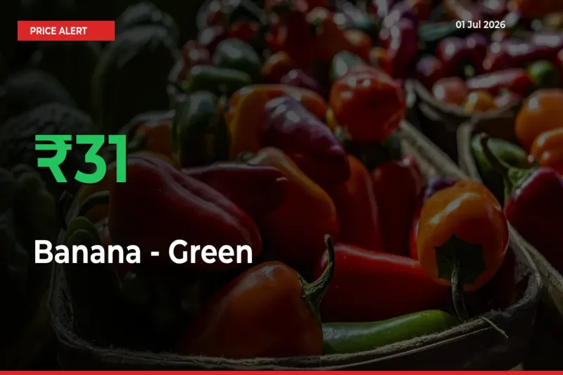 Banana - Green Mandi Rate Today: Prices Jump 31.17% at Market