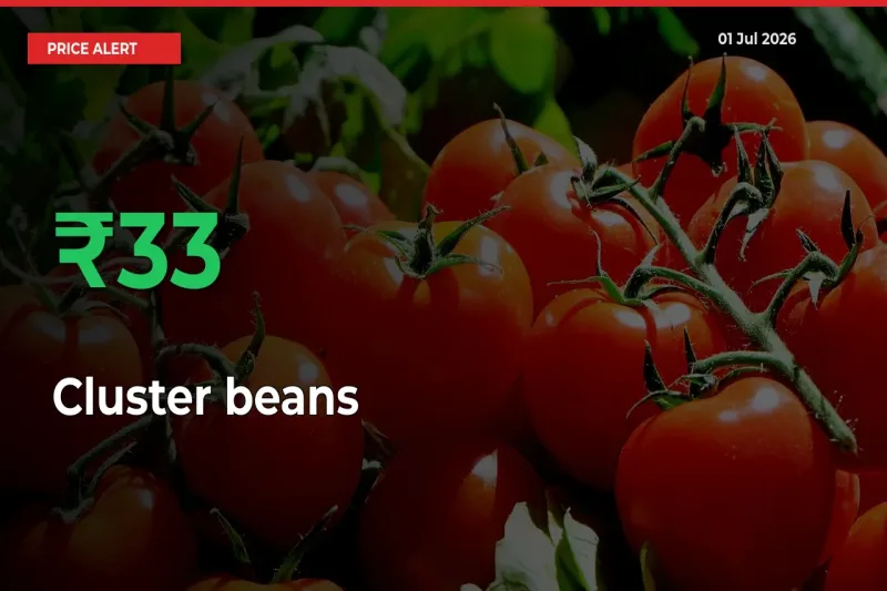 Cluster beans Mandi Rate Today: Prices Jump 33.31% at Market