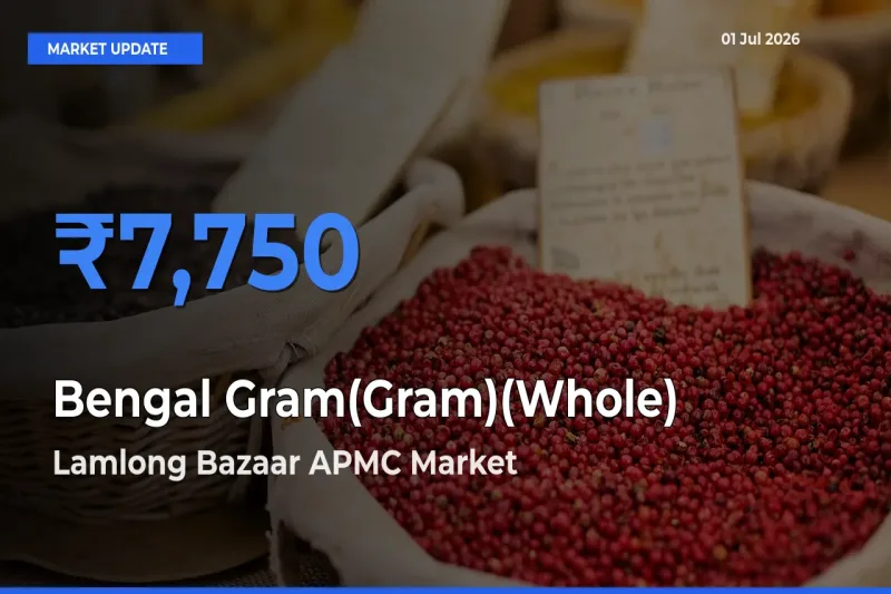 Farmers Prefer Lamlong Bazaar APMC as Bengal Gram(Gram)(Whole) Hits Highest Rate